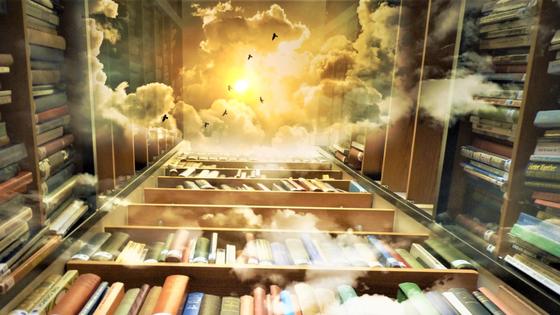Полки с книгами Полки с книгами
