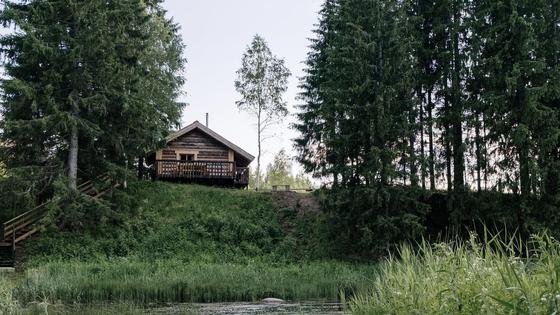 Дом среди деревьев Дом среди деревьев