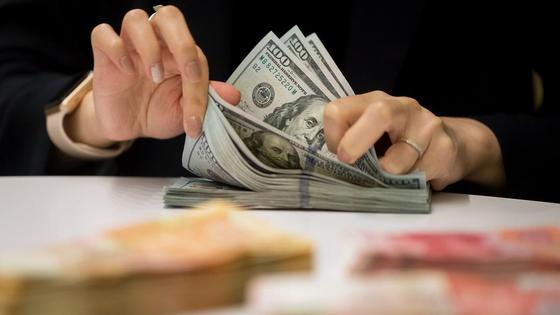 Девушка с накрашенными ногтями считает доллары Девушка с накрашенными ногтями считает доллары