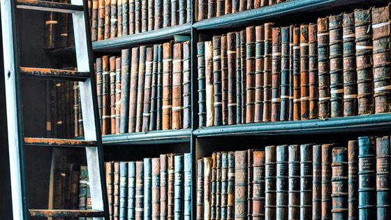 Книги на полках Книги на полках