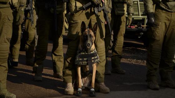 Учения проходят в Акмолинской области Учения проходят в Акмолинской области