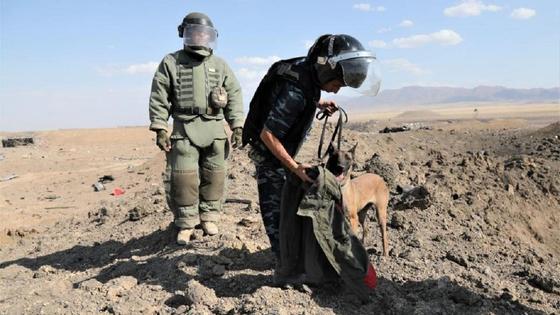 Поиски пропавших без вести при ЧП Поиски пропавших без вести при ЧП