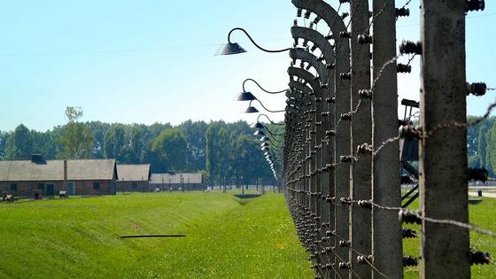 Колония с установленным в ней забором с колючей проволокой Колония с установленным в ней забором с колючей проволокой
