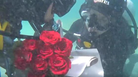 Предложение в Актау Предложение в Актау