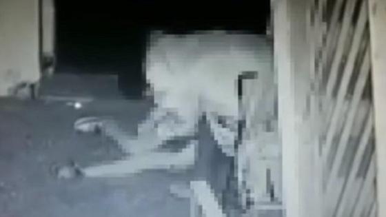 Мужчина пытался изнасиловать женщину в подъезде Мужчина пытался изнасиловать женщину в подъезде