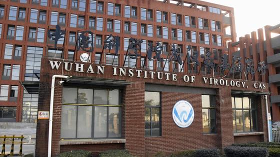 Уханьский институт вирусологии Уханьский институт вирусологии