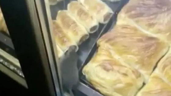 Самса Самса