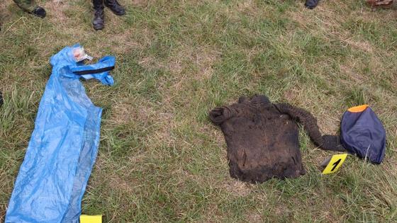 Вещи в Туркестанской области Вещи в Туркестанской области