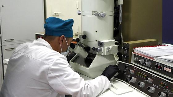 Сотрудник лаборатории изучает вирус Сотрудник лаборатории изучает вирус