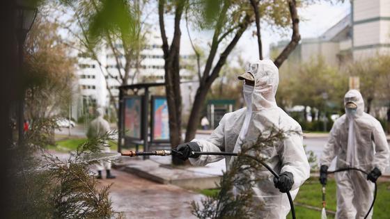 Дезинфекция жүргізушілер Дезинфекция жүргізушілер