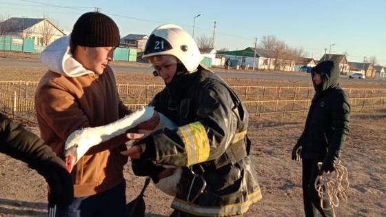 Спасатель держит в руках лебедя Спасатель держит в руках лебедя