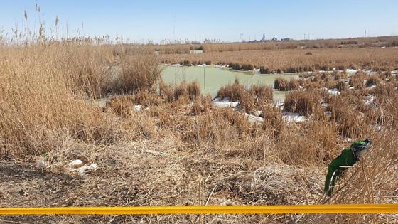 Вид на озеро и пожелтевшую растительность Вид на озеро и пожелтевшую растительность