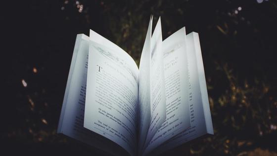 книга книга