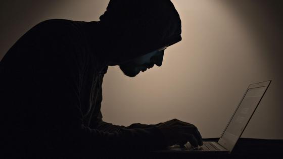 Мужчина смотри в ноутбук Мужчина смотри в ноутбук
