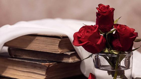 Книги, красные розы в стакане Книги, красные розы в стакане