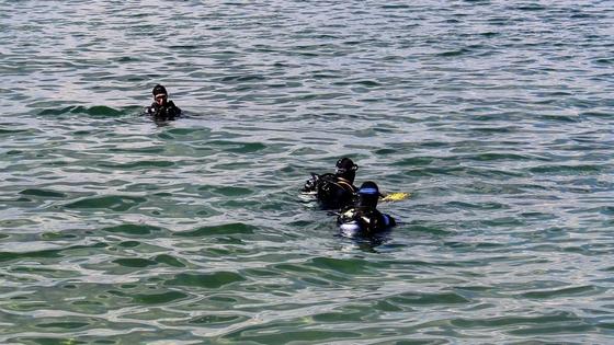 Водолазы в море Водолазы в море