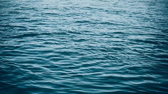 Водная гладь Водная гладь