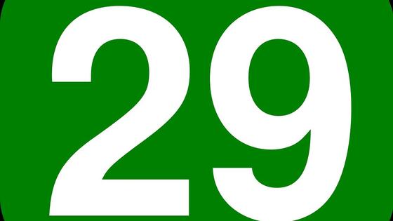 29 число 29 число