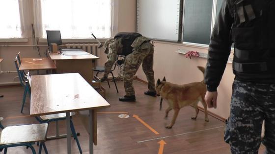 Сапер проверяет кабинет в школе Сапер проверяет кабинет в школе