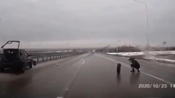 Мужчина встает с земли после аварии Мужчина встает с земли после аварии
