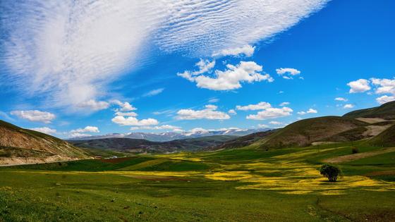участок земли участок земли