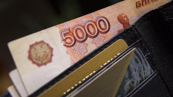 5000 рублей в кошельке 5000 рублей в кошельке