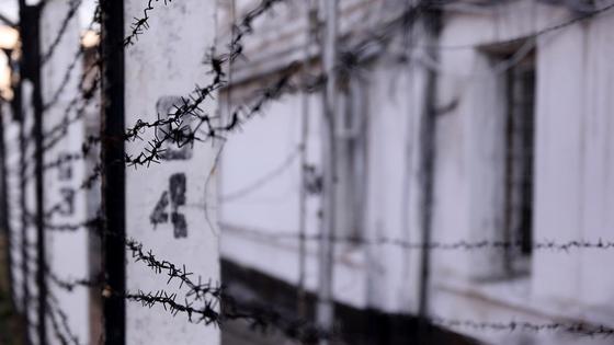 Колючая проволока на заборе Колючая проволока на заборе