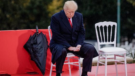 Дональд Трамп сидит на стуле Дональд Трамп сидит на стуле