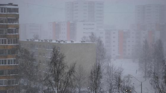 Үйлер Үйлер