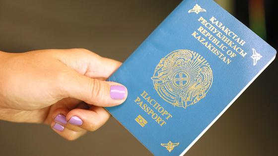 Девушка держит паспорт в руках Девушка держит паспорт в руках