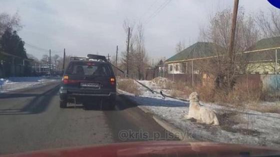 Итті көлікпен сүйреген Итті көлікпен сүйреген