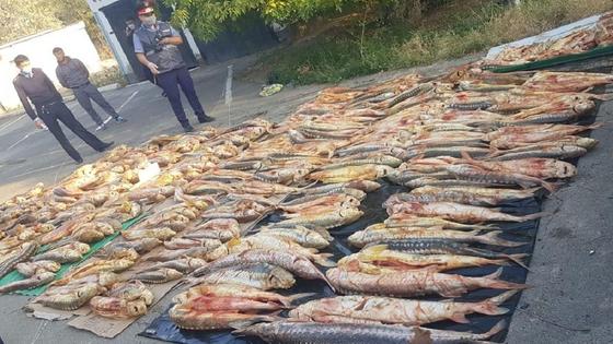 Изъятая рыба в Атырау Изъятая рыба в Атырау