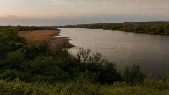 Деревья и кусты растут на берегу реки Деревья и кусты растут на берегу реки