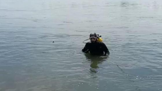 Водолаз плавает в реке Водолаз плавает в реке