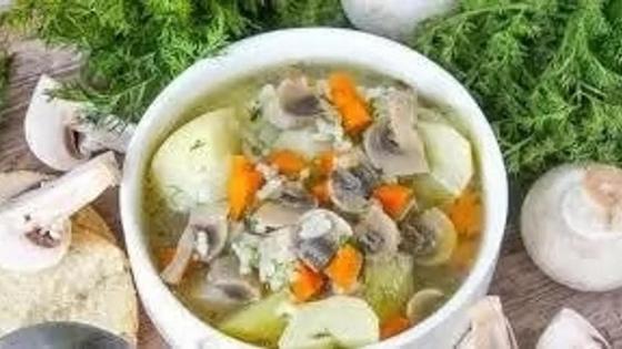 куриный суп с грибами куриный суп с грибами
