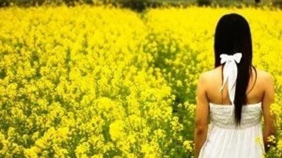 девушка в цветочном поле девушка в цветочном поле