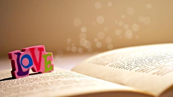 раскрытая книга и надпись Love раскрытая книга и надпись Love