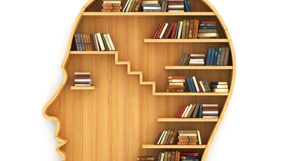 Книги на полке Книги на полке