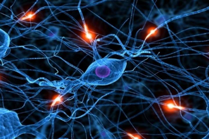 Оразаның адам ағзасына әкелетін жеті оң әсері Оразаның адам ағзасына әкелетін жеті оң әсері