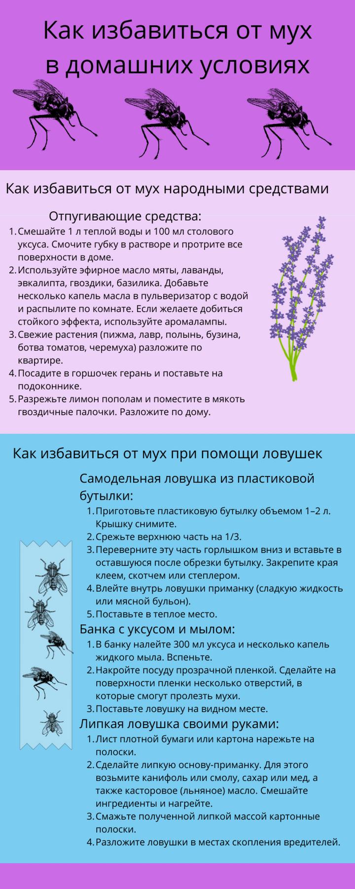 Как прогнать муху из комнаты