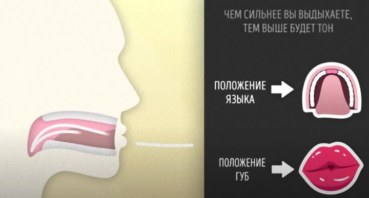 Как научиться свистеть с пальцами во рту громко схема