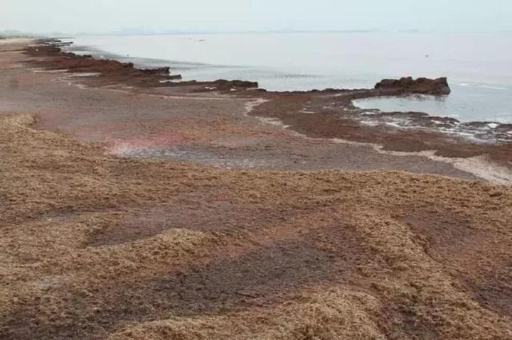 Вода в каспийском море в мае