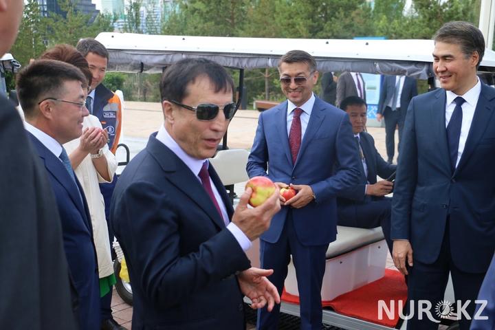 Фото: NUR.KZ - Алена Бутенко Фото: NUR.KZ - Алена Бутенко