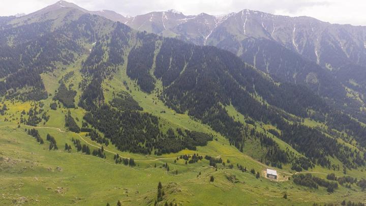 тау
