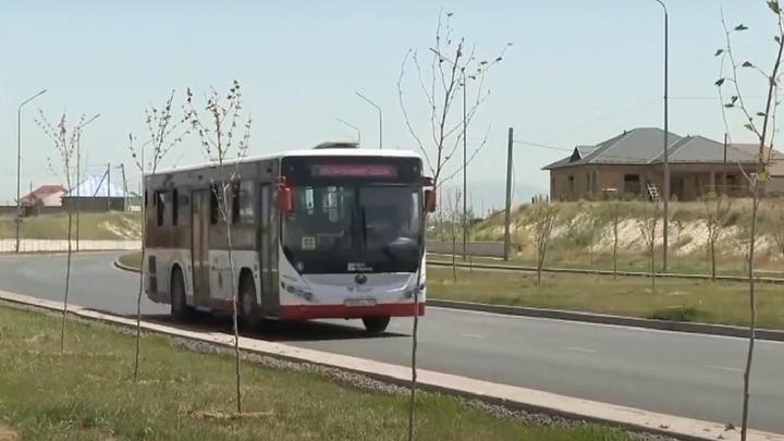 Шымкенттегі қурап қалған ағаштар