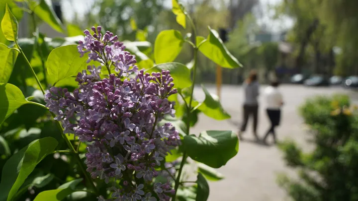 Бүгін Қазақстан мегаполистерінің бірінде 29 градусқа дейін ыстық болады
