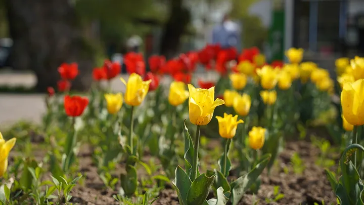 Бейсенбіде Қазақстан мегаполистерінде 30 градусқа дейін ыстық болады